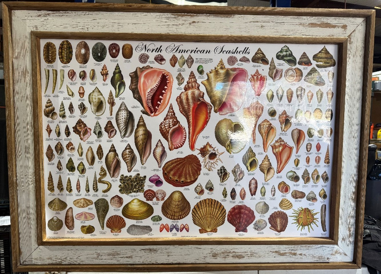 Custom Texas-Made Coastal Frame