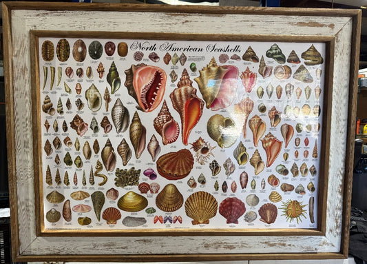 Custom Texas-Made Coastal Frame